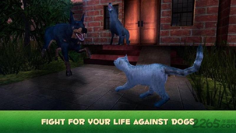 家猫模拟器3d中文破解版下载,家猫模拟器3d,模拟游戏